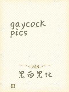 gaycockpics