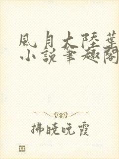 风月大陆叶天龙小说笔趣阁封面