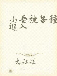 小受被各种姿势进入