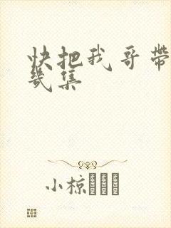 快把我哥带走有几集