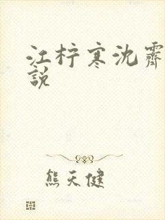 江柠寒沈霁平小说