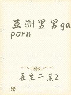 亚洲男男gayporn