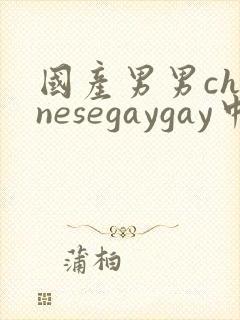 国产男男chinesegaygay中国帅哥网站封面