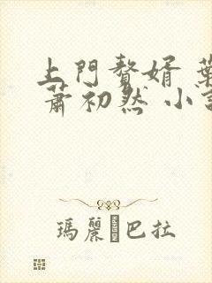 上门赘婿 叶辰 萧初然 小说