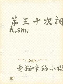 第三十次调教(h,sm,