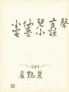 小仙儿有声小说电台小说