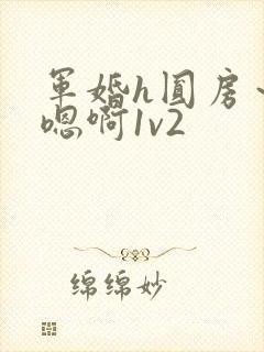 军婚h圆房~h嗯啊1v2