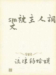 sm被主人调教文