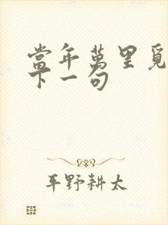 当年万里觅封侯下一句