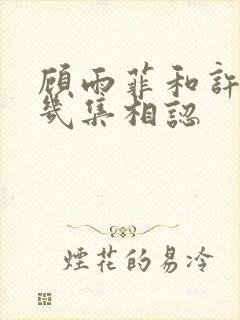 顾雨菲和许忠义几集相认