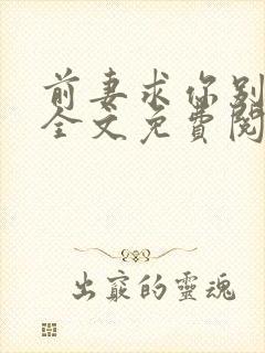 前妻求你别改嫁全文免费阅读总裁
