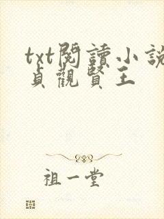 txt阅读小说贞观贤王