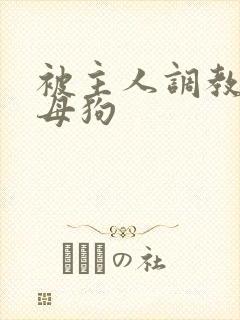 被主人调教成骚母狗
