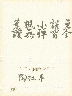 叶枫小说免费阅读无弹窗全文