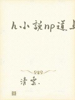 h小说np道具
