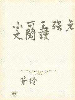 小可王强免费全文阅读