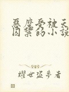恶魔受被天使攻囚禁的小说