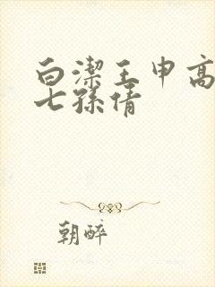 白洁王申高义老七孙倩