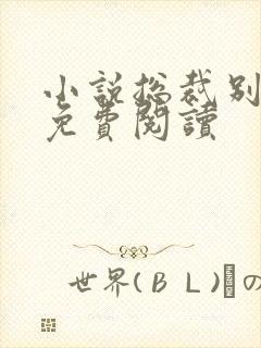 小说总裁别太坏免费阅读封面