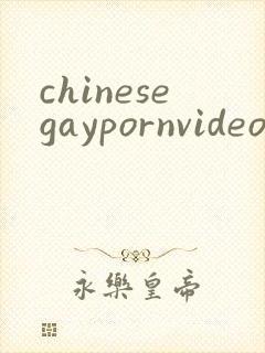 chinesegaypornvideo