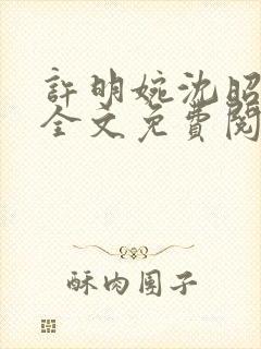 许明婉沈昭小说全文免费阅读封面