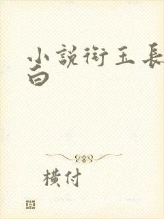 小说衔玉长青长白