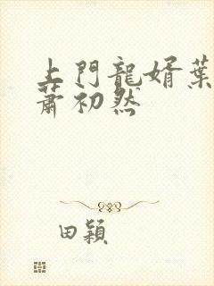 上门龙婿叶晨和萧初然