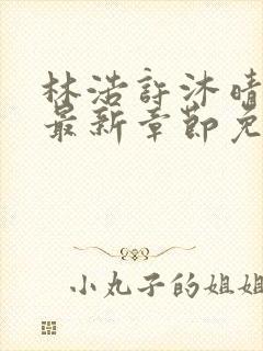 林浩许沐晴小说最新章节免费阅读全文封面