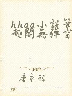 hhaa小说笔趣阁无弹窗最新章节