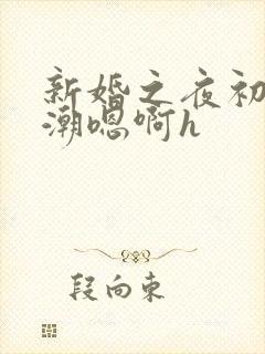 新婚之夜初尝高潮嗯啊h封面