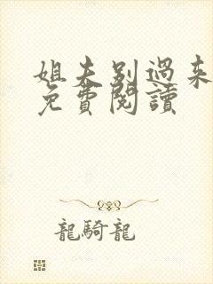 姐夫别过来小说免费阅读封面