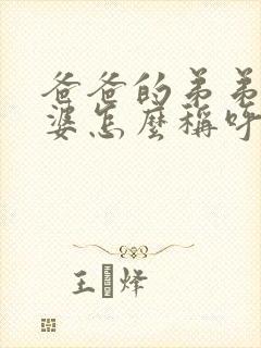 爸爸的弟弟的老婆怎么称呼