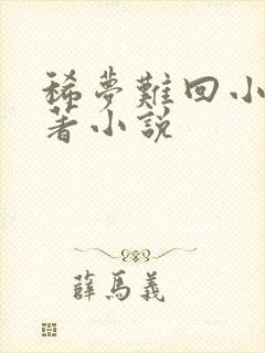 稀梦难回小说原著小说封面