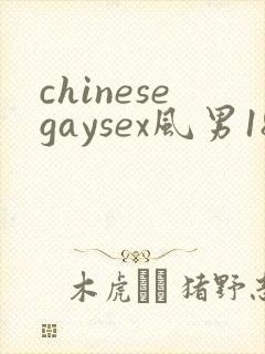 chinesegaysex风男181069