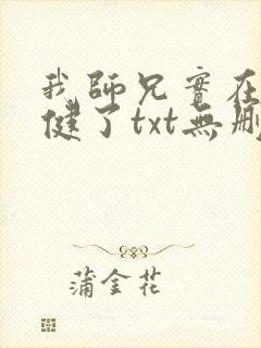 我师兄实在太稳健了txt无删减