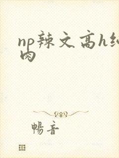 np辣文高h纯肉