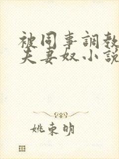 被同事调教成了夫妻奴小说封面