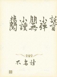 杨小朋小说免费阅读无弹窗