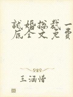 试婚总裁一宠到底全文免费阅读