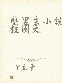 双男主小说甜文校园文封面
