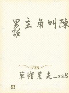 男主角叫陈岩小说