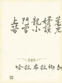 上门龙婿叶凡唐若雪小说免费