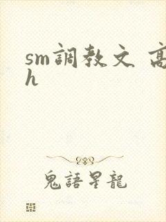 sm调教文 高h