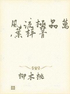 风流极品万岁爷,叶梓菁封面