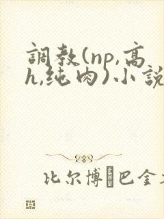 调教(np,高h,纯肉)小说