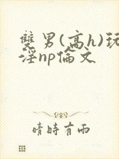 双男(高h)玩淫np伦文