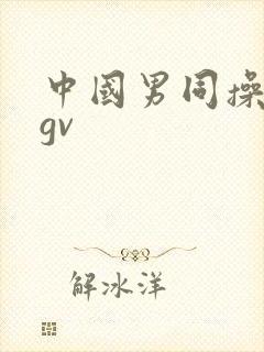 中国男同操亚洲gv封面