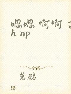 嗯嗯 啊啊 高h np封面