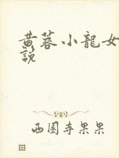 黄蓉小龙女h小说
