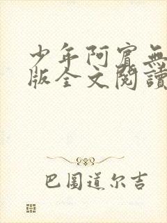 少年阿宾无删减版全文阅读